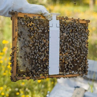 Calistrip Biox 6,44 g - 10 csík