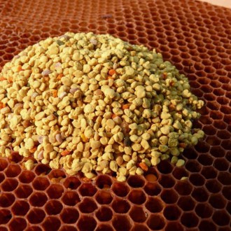 Pleva Virágpor - 100g