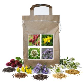 Nektártermelő egynyári virágkeverék Harmony méheknek 1-es típus - 1 kg