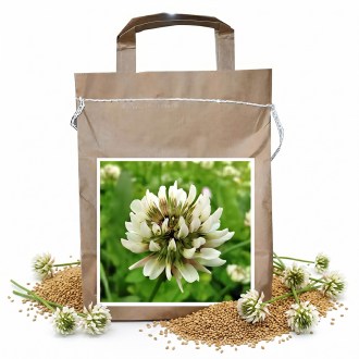 Kúszó here JURA - 1 kg