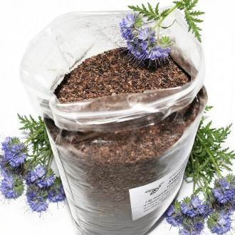 Facélia (mézontófű) - 1 kg