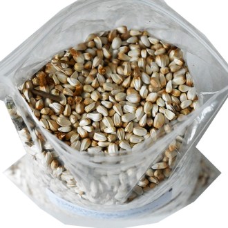 Sáfrányos szeklice - 0,5 kg