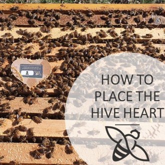 Kaptár érzékelő Bee Heart